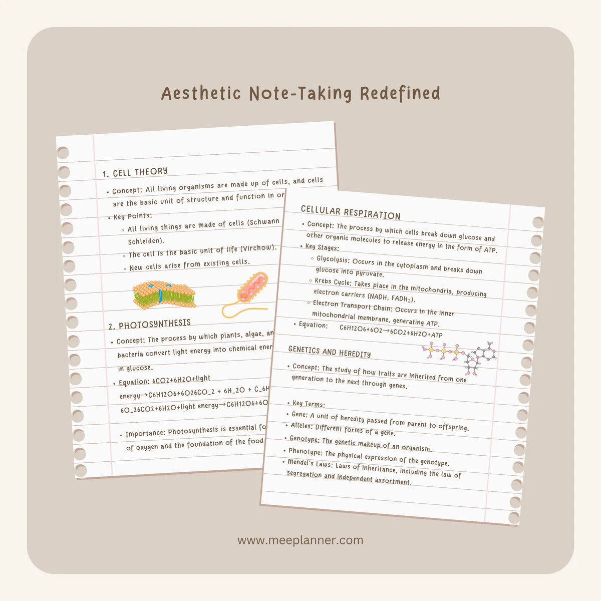 Aesthetic Handwriting Font — image 6