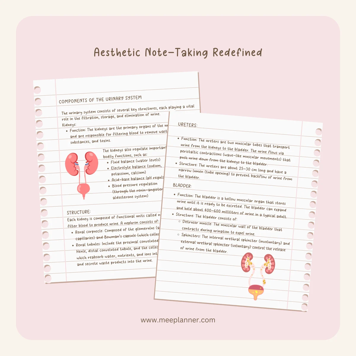 Aesthetic Handwriting Font — image 6
